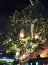 บ้านประชานิยม