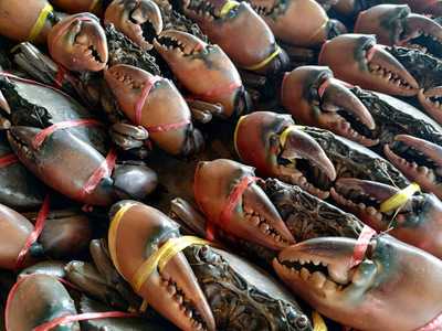 นราทิพย์ ซีฟู๊ด