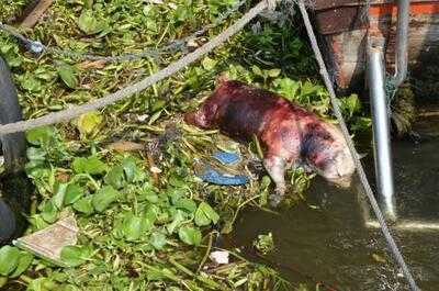 The Riverside Restaurant