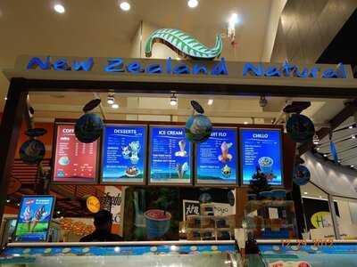 นิวซีแลนด์เนเชอรัล ไอศกรีม