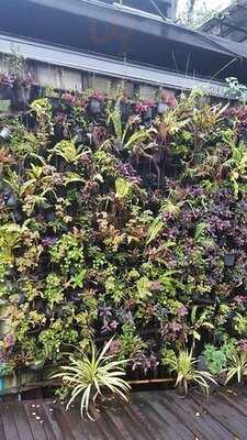 Reflect Restaurant At Bangkok Tree House