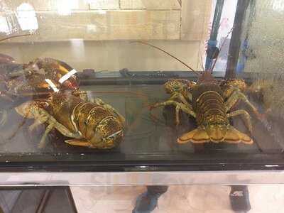 กุ้งถัง