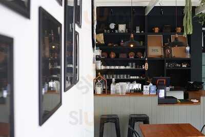 ต้นสาคู