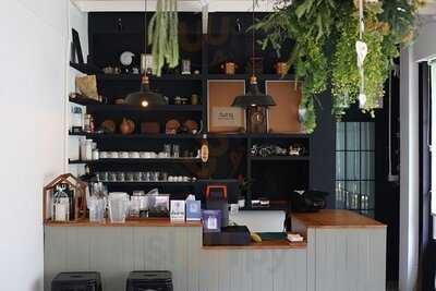 ต้นสาคู