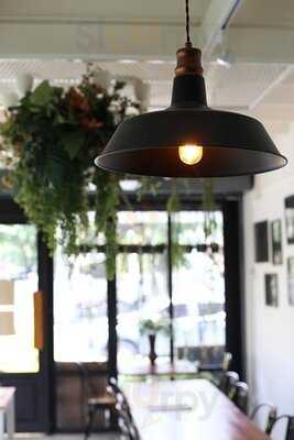 ต้นสาคู