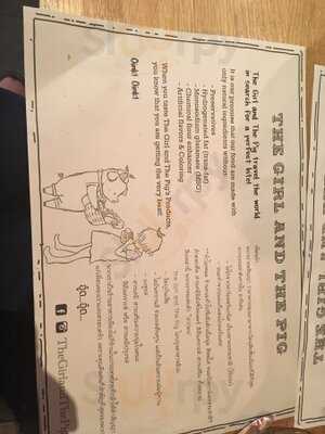 The Girl And The Pig