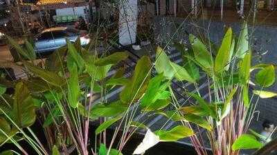 Esplanade Shopping Center