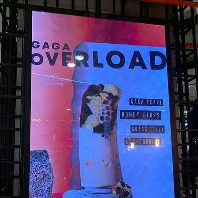 Gaga Attituda In A Cup