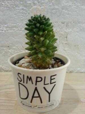 Simple Day Cafe