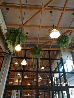 เออร์ลี่ ไบท์ คาเฟ่