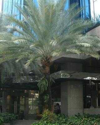 ภัตตาคารอาหารญี่ปุ่น คิคูซุย