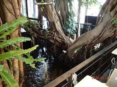 The Missing Piece : Sukhumvit 53 Branch