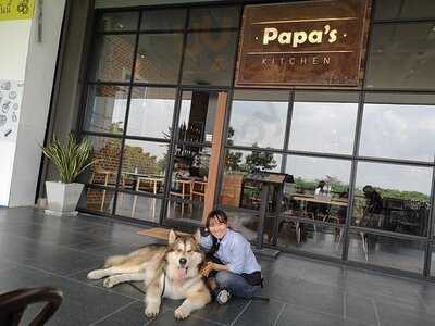 Papa's Kitchen : The Park