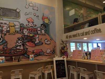 Cat Up Cafe