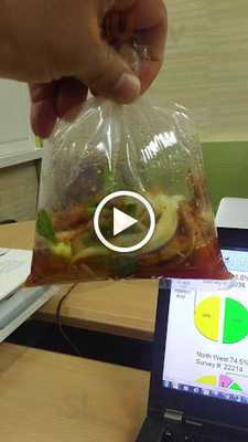 บลู คอร์เนอร์