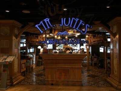 มิสเตอร์โจนส์ ออร์ฟาเนจ