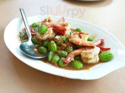 บ้านต้นไม้