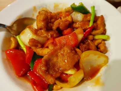 บ้านต้นไม้