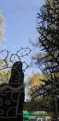 The Pine Farm & Cafe