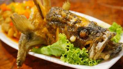 ดราก้อนโบ๊ท