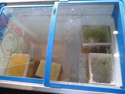 ชาบูคิง (บอย-พีชเมกเกอร์,เจี๊ยบ-พิจิตรา)