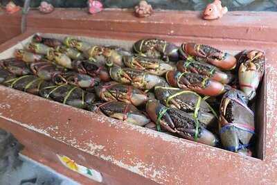 น้องบีทะเลเผาดอนเมือง