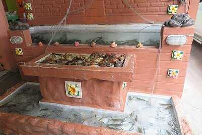 น้องบีทะเลเผาดอนเมือง