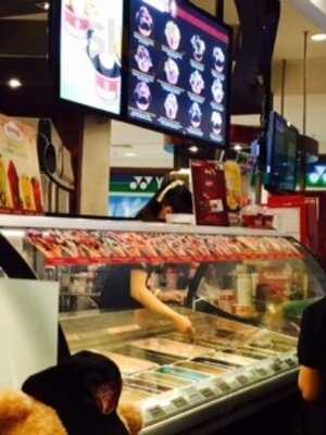 โคลด์สโตนครีมเมอรี่ ร้านไอศกรีม