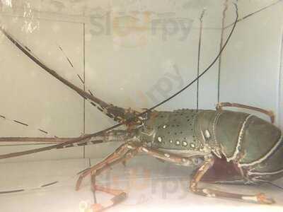 เชฟป้อม คิทเช่น - เจริญนคร