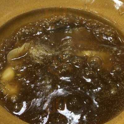 สุขุมวิท หูฉลาม