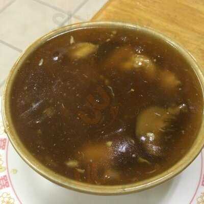 สุขุมวิท หูฉลาม