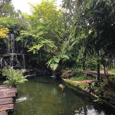 ฟอเรสต้า คาเฟ่