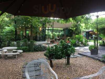 บ้านต้นไม้