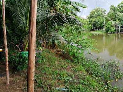 บ้านต้นไม้