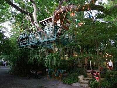 บ้านต้นไม้