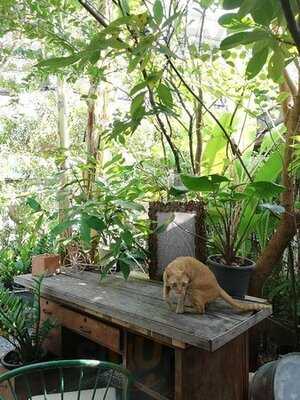 ร้านบ้าน บ้าน 34 Home Cafe