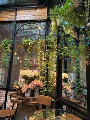 The Blooming Gallery