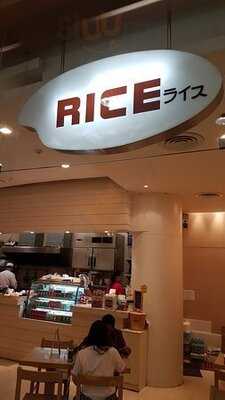 Rice