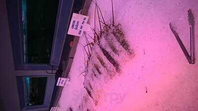 เดอะซีฟู้ดการ์เด้นท์