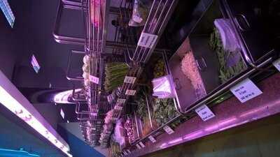 เดอะซีฟู้ดการ์เด้นท์