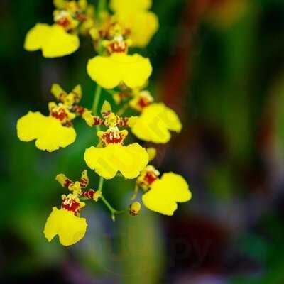 Uncle Jo Cafe And Roof Bar