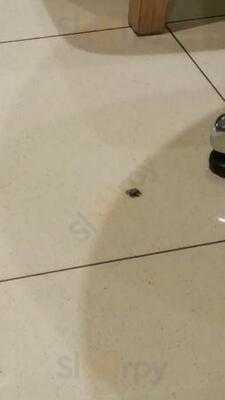 โอบองแปงเดอะเบเกอรี่คาเฟ่