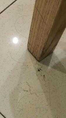 โอบองแปงเดอะเบเกอรี่คาเฟ่