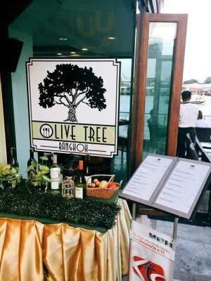 Olive Tree