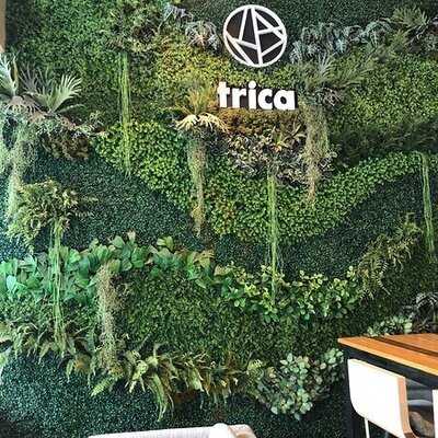 Trica Hostel Cafe & Bar