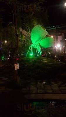 ร็อคซีด