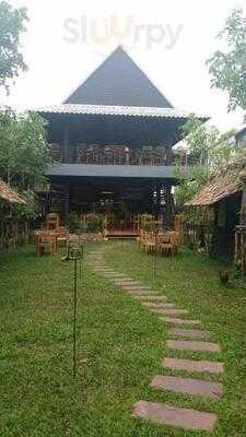 วาย บาย วิทย์