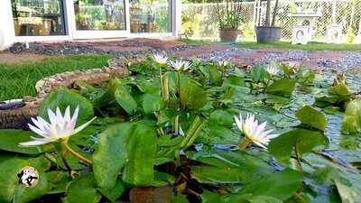 บ้านซากุระ บุฟเฟ่ อาหารญี่ปุ่น