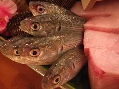 ฟูจิซัง ซูชิ