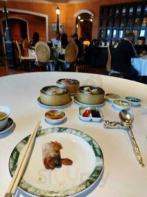 ไดนาสตี้